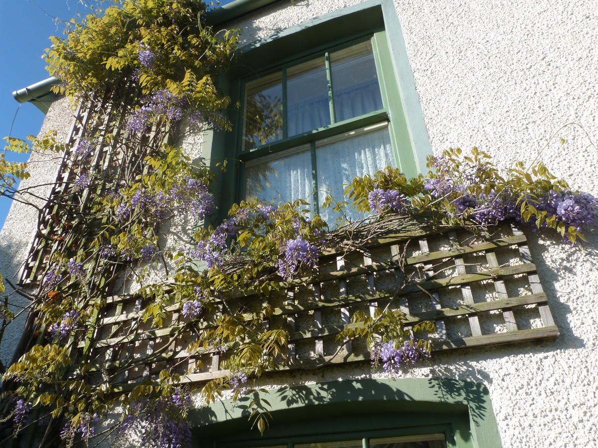 Pomona Bed & Breakfast Lowick Green Bagian luar foto